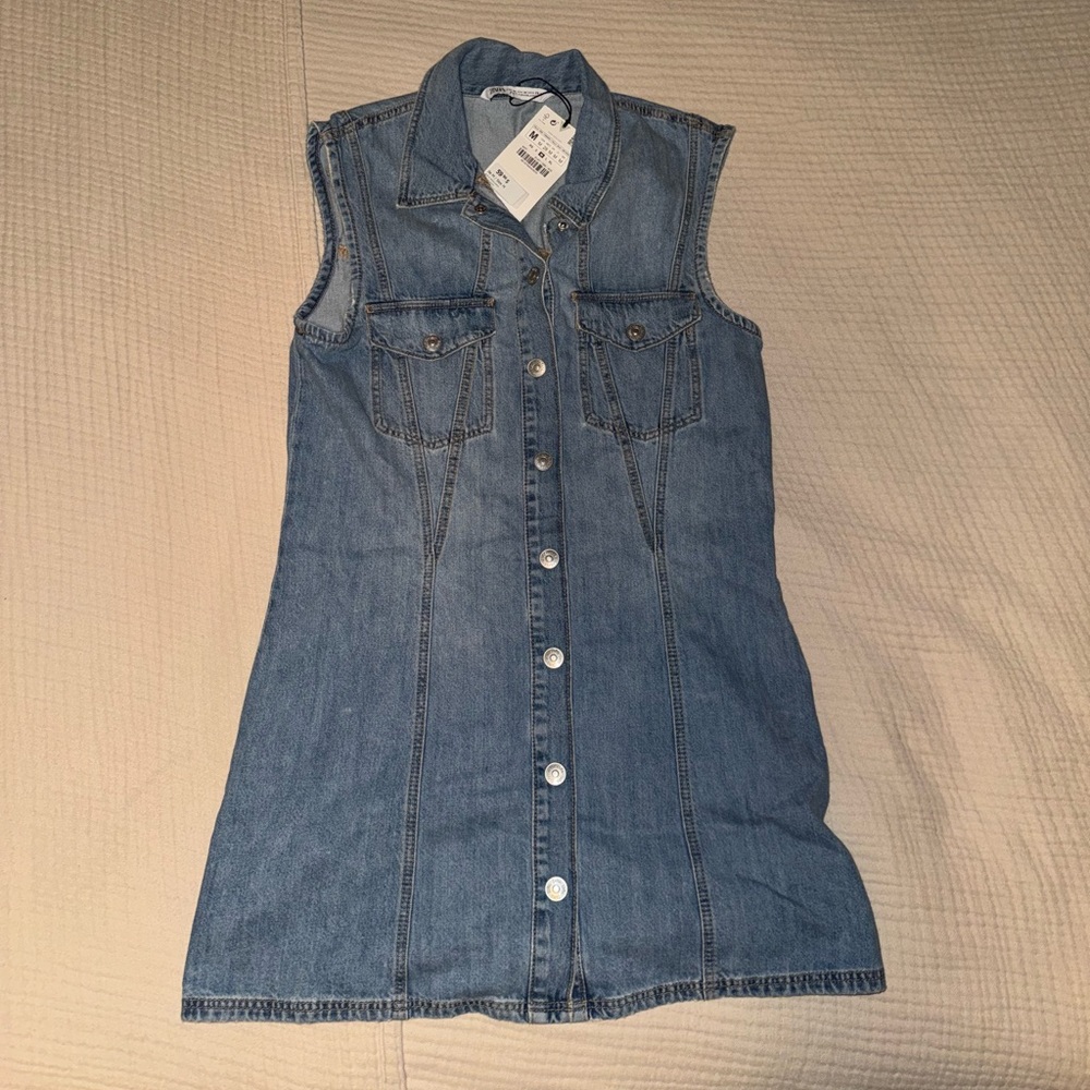 Zara Blue Button-Front Dress